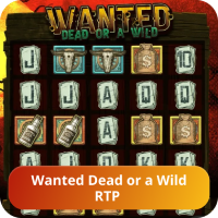 Jeu Wanted Dead or a Wild